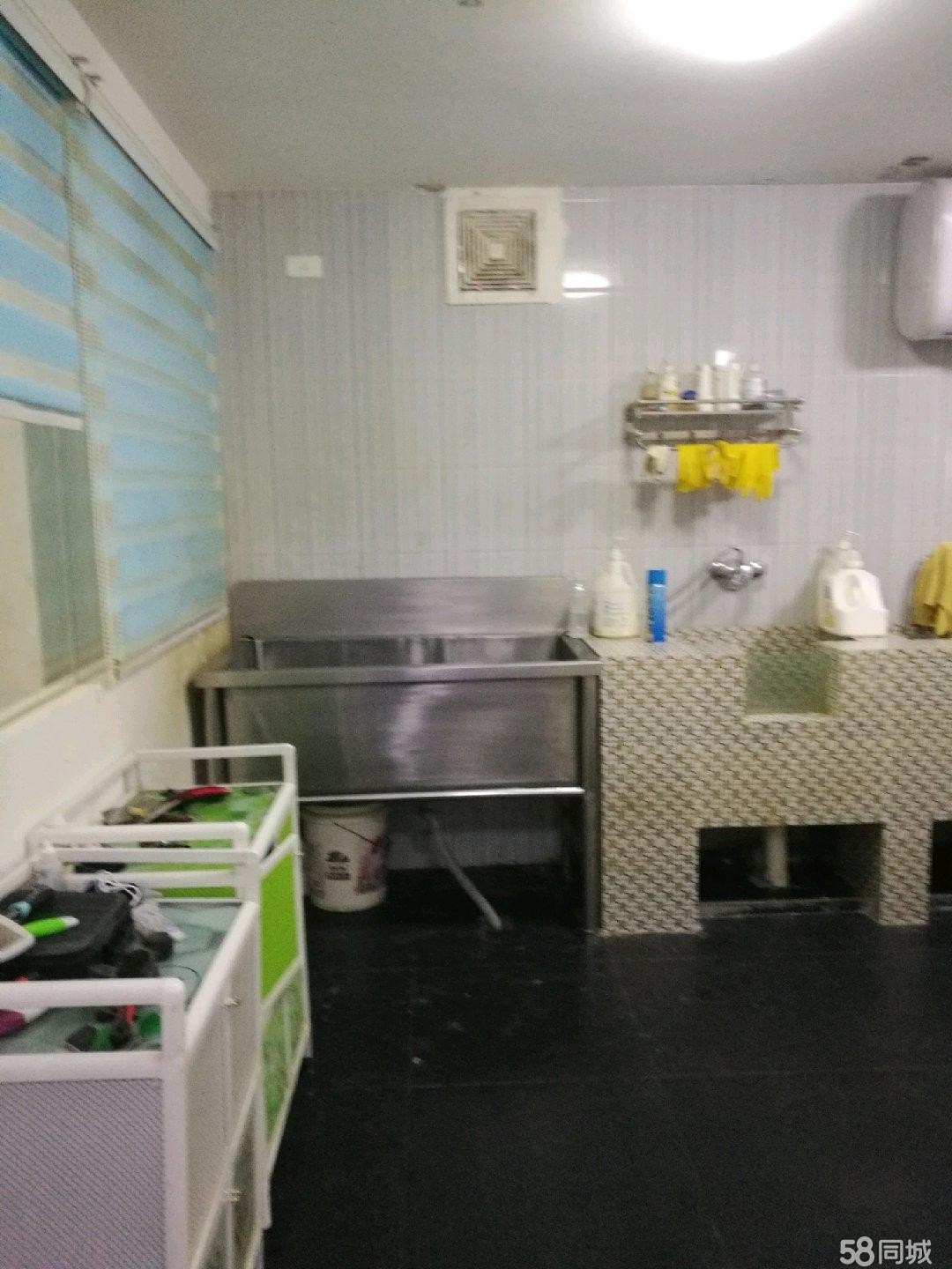 (转让) 海尔大道宠物店转让 