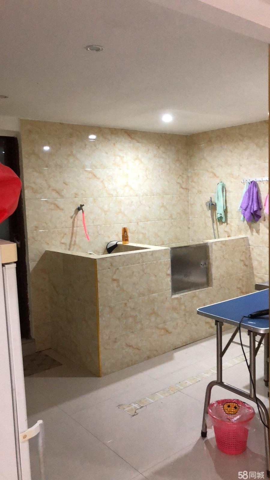 (转让) 宠物店 转让转让