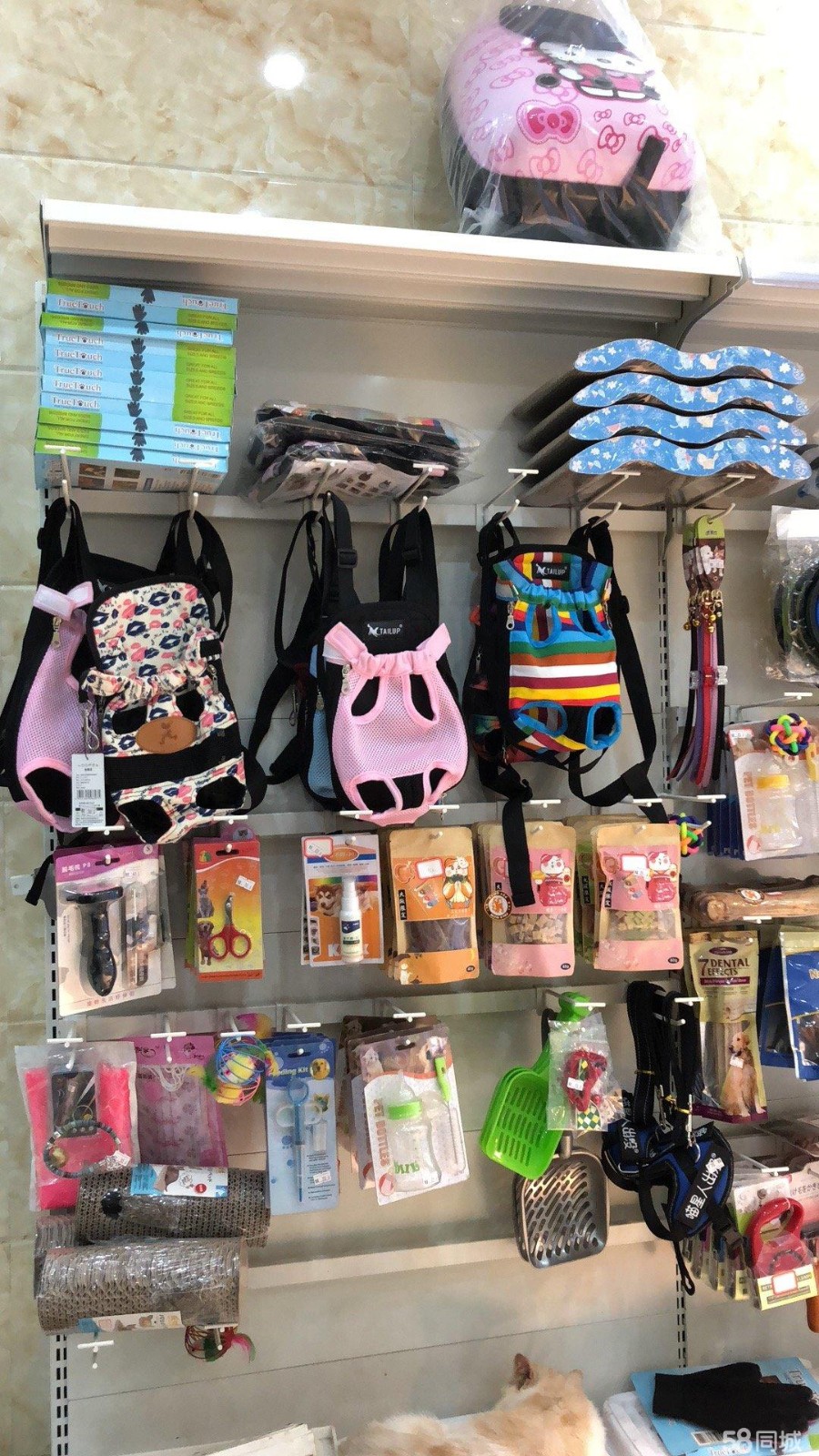 (转让) 宠物店 转让转让
