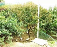 (转让) 南部新区清江山庄转让