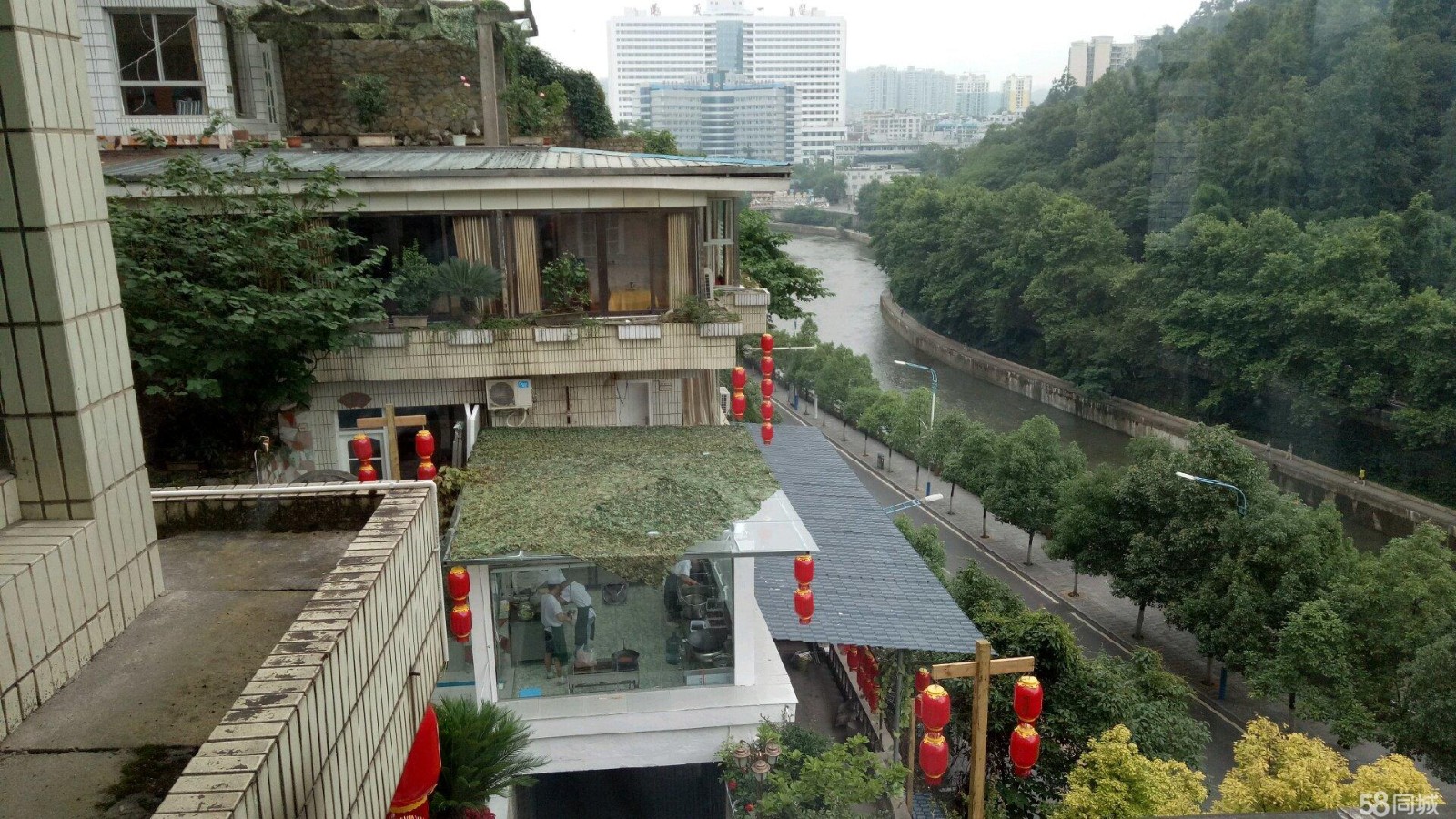 低价急转竹滋味（原龙凤山庄）