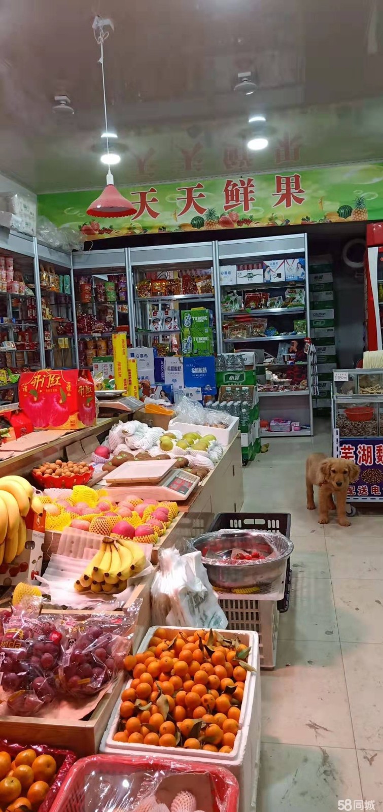 (转让) 本人，经营烟酒店转让