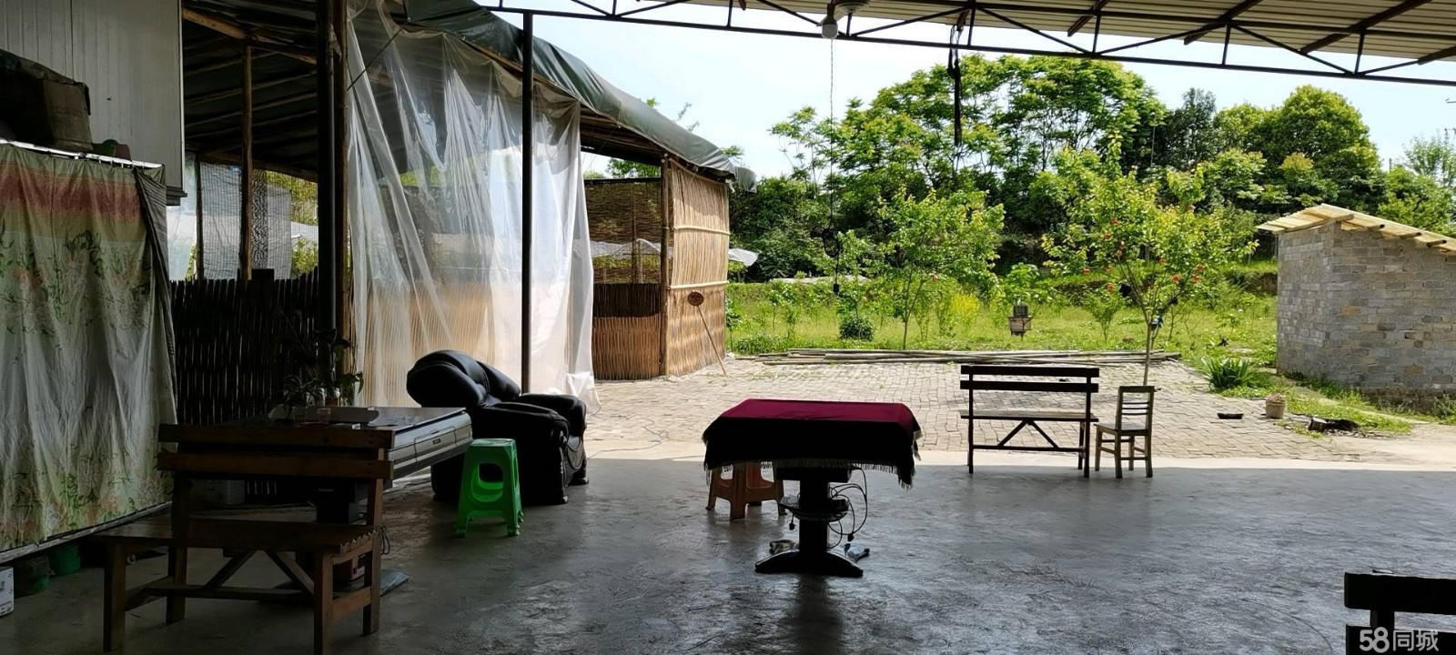 (转让) 52亩葡萄基地转让(内生产生活设施齐全)