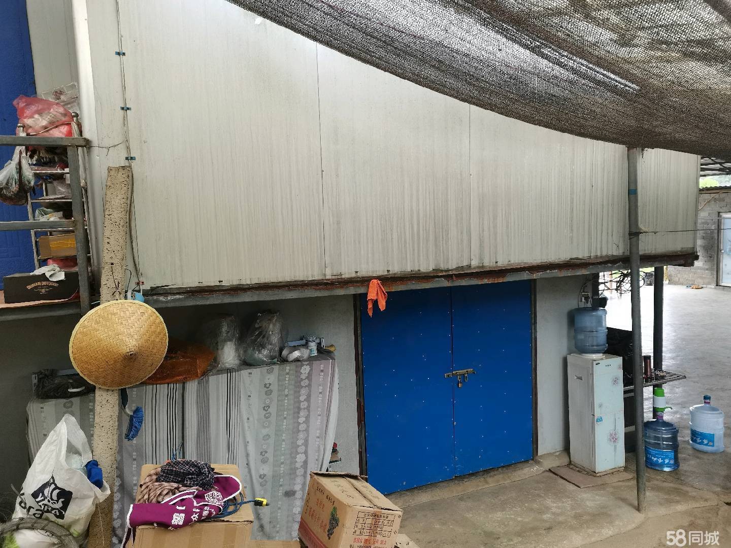 (转让) 52亩葡萄基地转让(内生产生活设施齐全)