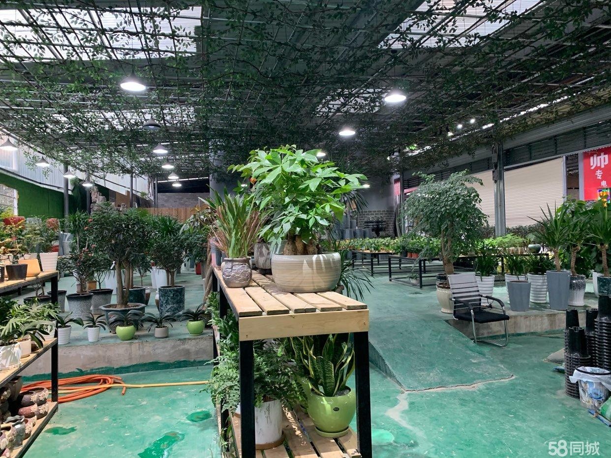 (转让)忠庄花鸟市场门市转让