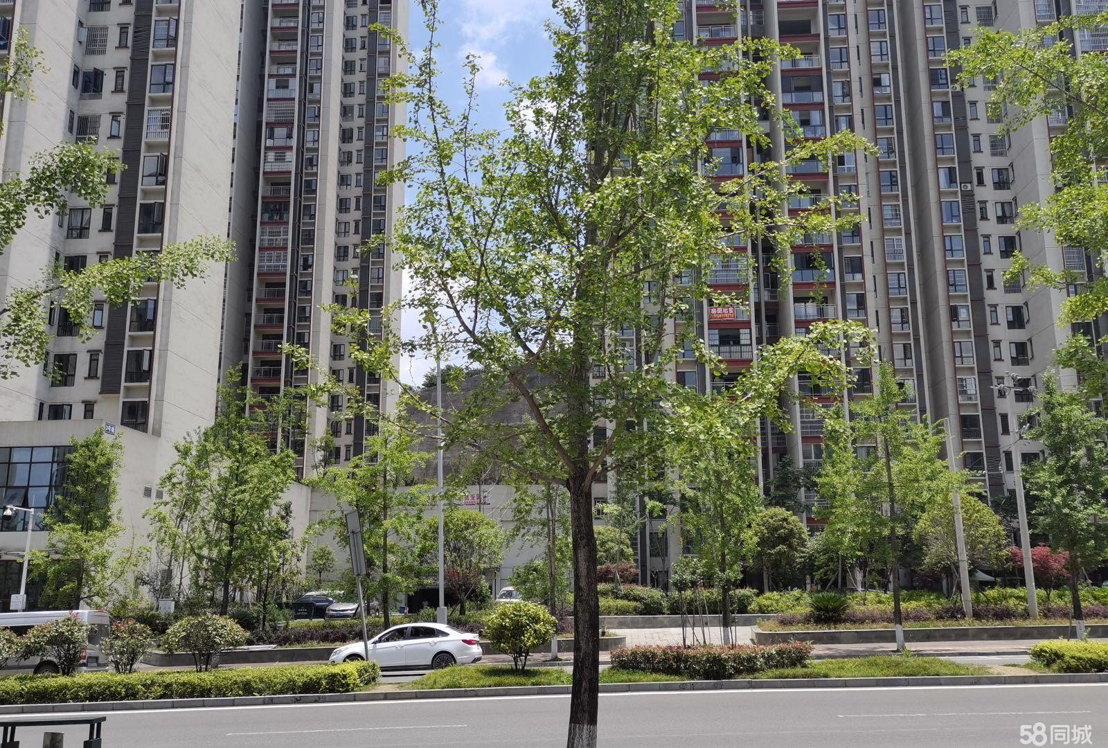 (转让)临街门面,周边都是居民区
