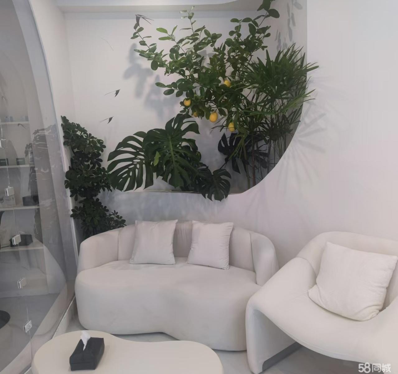 （转让）新店低价转让，门头醒目，环境好，仪器设备全新，接手可经营