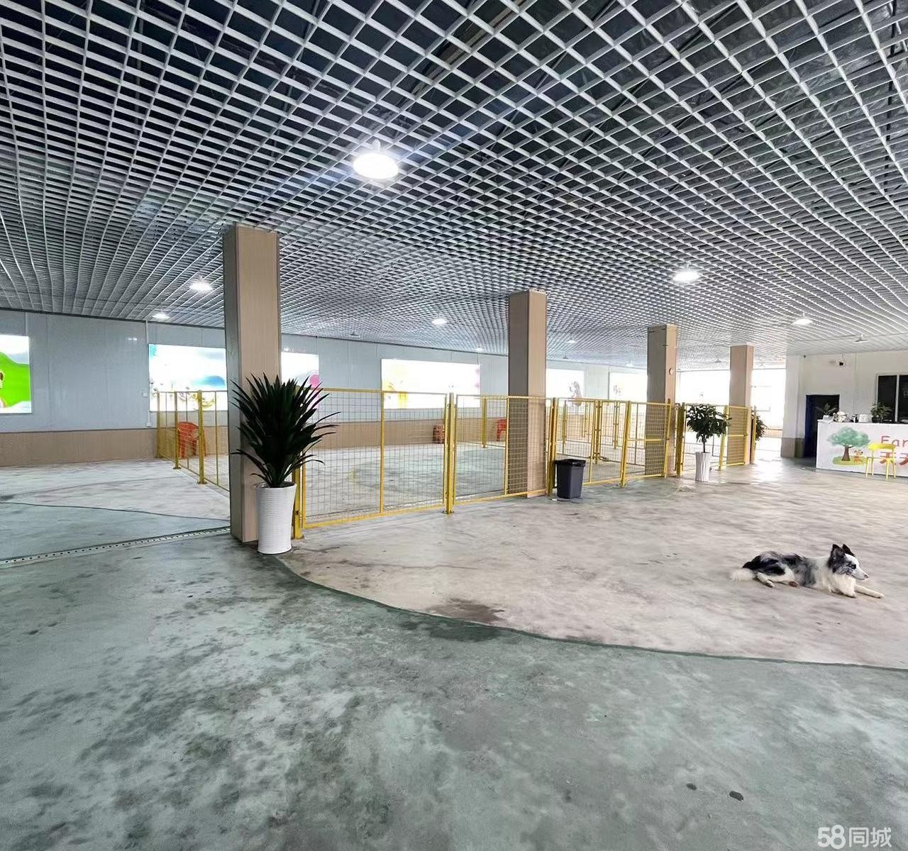 (转让）遵义宠物店乐园狗狗公园寄养训练基地稳定收入稳定客源整体转让