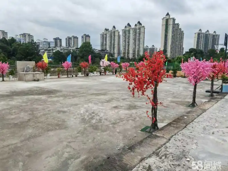 （转让山庄转让或者找志同道合的一起弄山庄