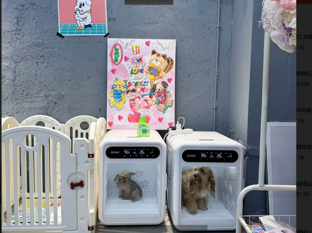 (转让)宠物店整店转出，包含货品用具