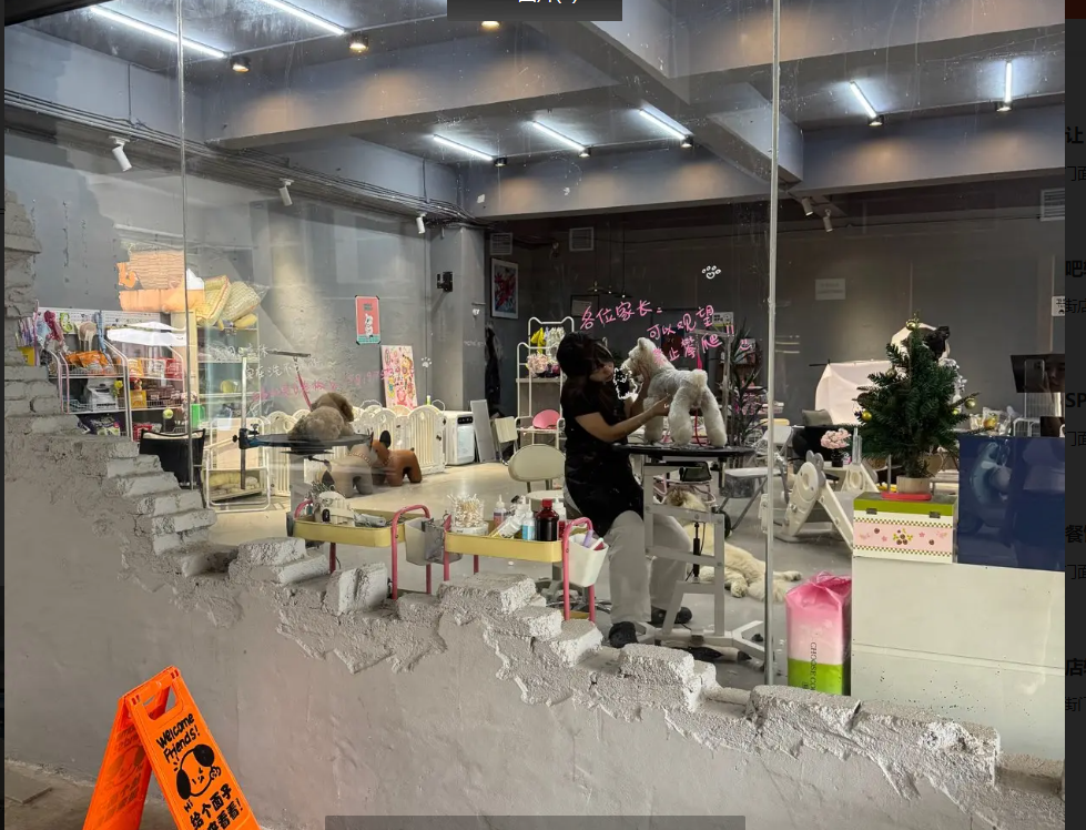 (转让)宠物店整店转出，包含货品用具