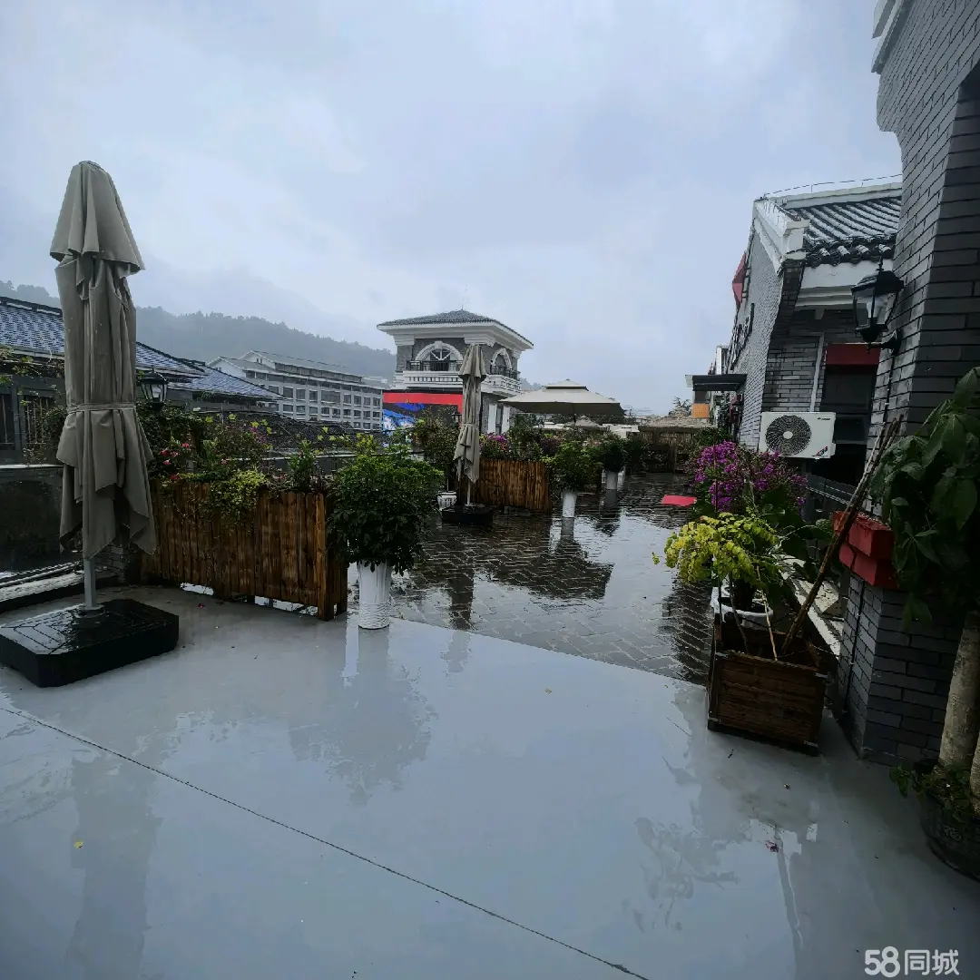 (转让)房租物管费都隶属于遵义乐创公司