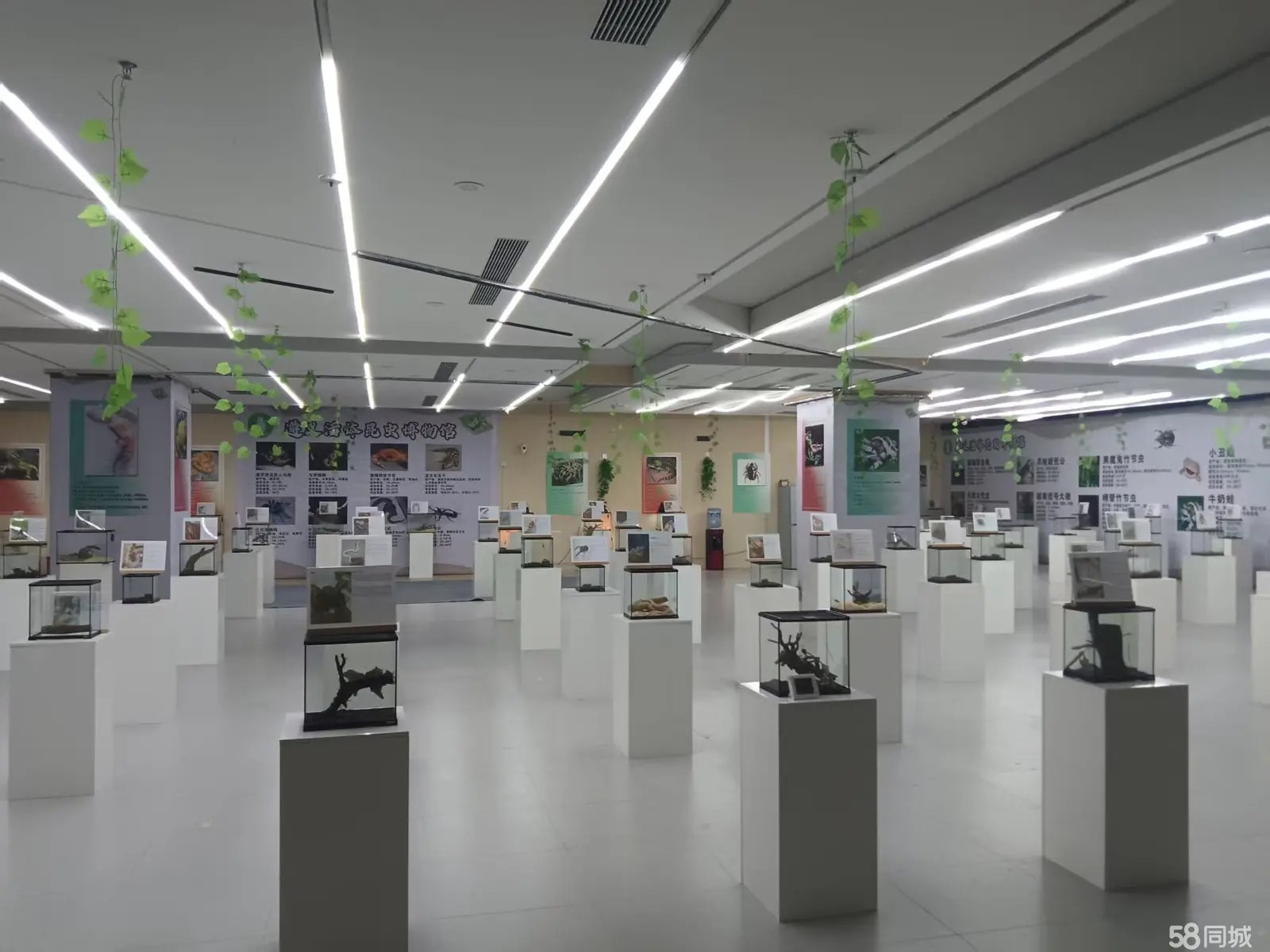 （转让）整体打包，店铺可以在任何一个地方经营