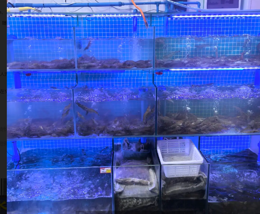 (转让)海鲜水产店，中转让，